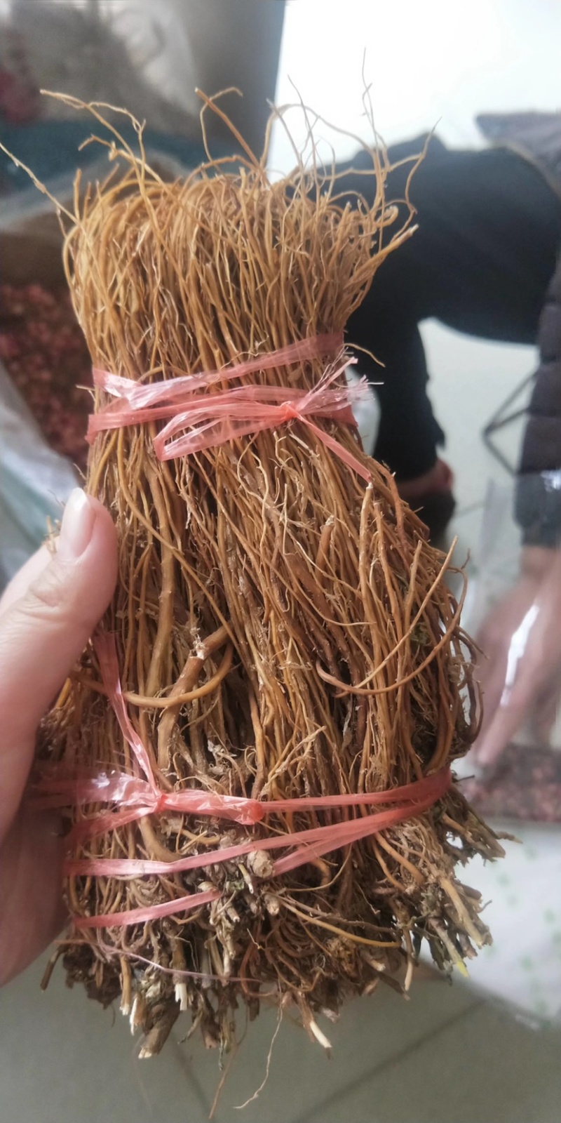 临沧滇龙胆大根含量足龙胆根龙胆草花山龙胆坚龙胆青鱼胆草好