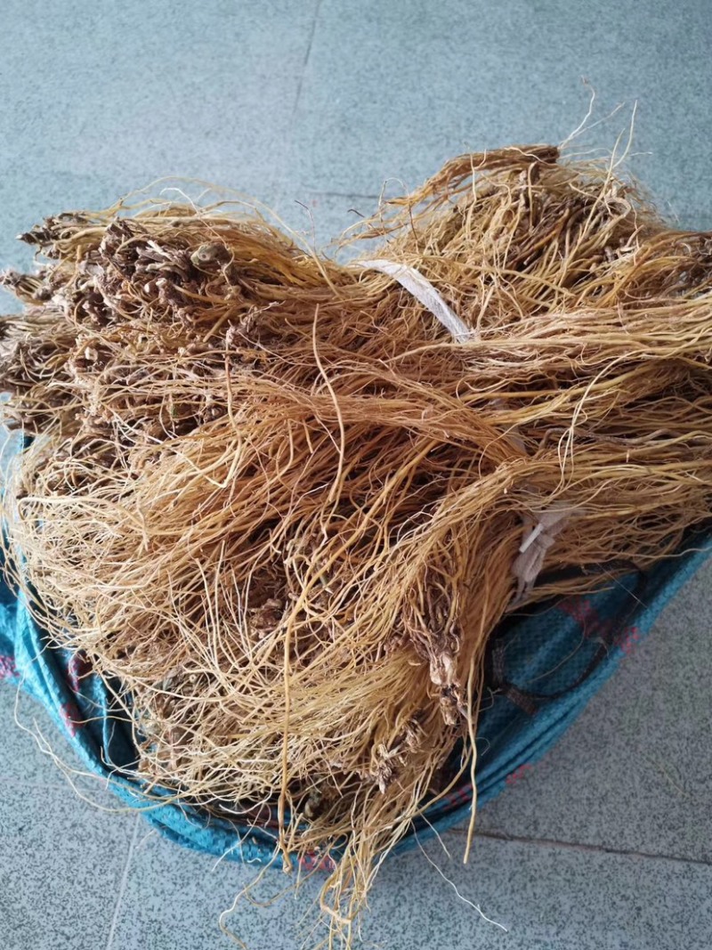 临沧滇龙胆大根含量足龙胆根龙胆草花山龙胆坚龙胆青鱼胆草好