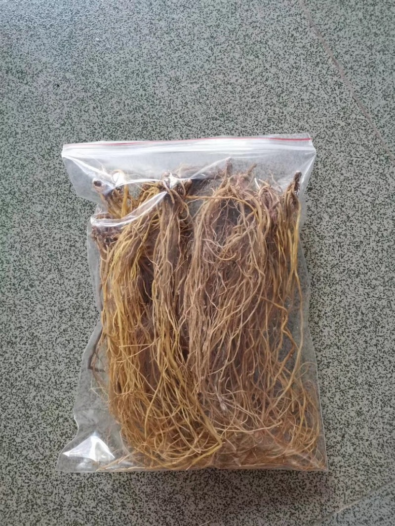 临沧滇龙胆大根含量足龙胆根龙胆草花山龙胆坚龙胆青鱼胆草好