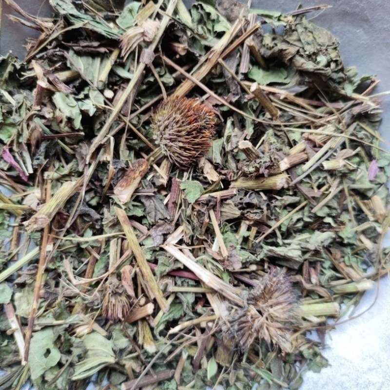 紫锥菊中药材正品冷背中药材大全批发零售质量保证