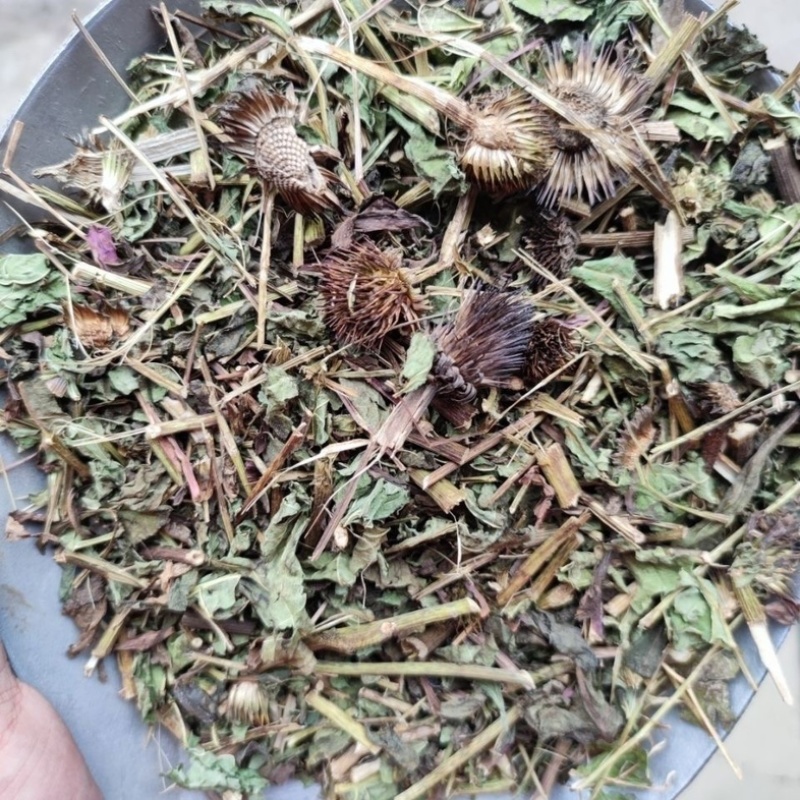 紫锥菊中药材正品冷背中药材大全批发零售质量保证