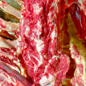 带点肉脊骨