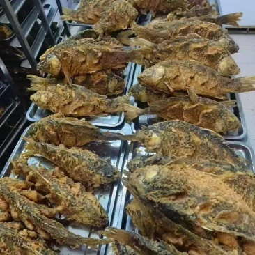 油炸大鲤鱼