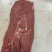 肩胛（板腱）