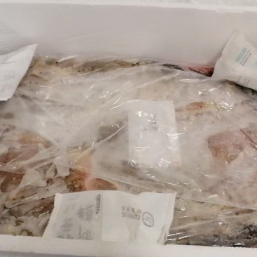 牛肚包牛肺冷冻处理