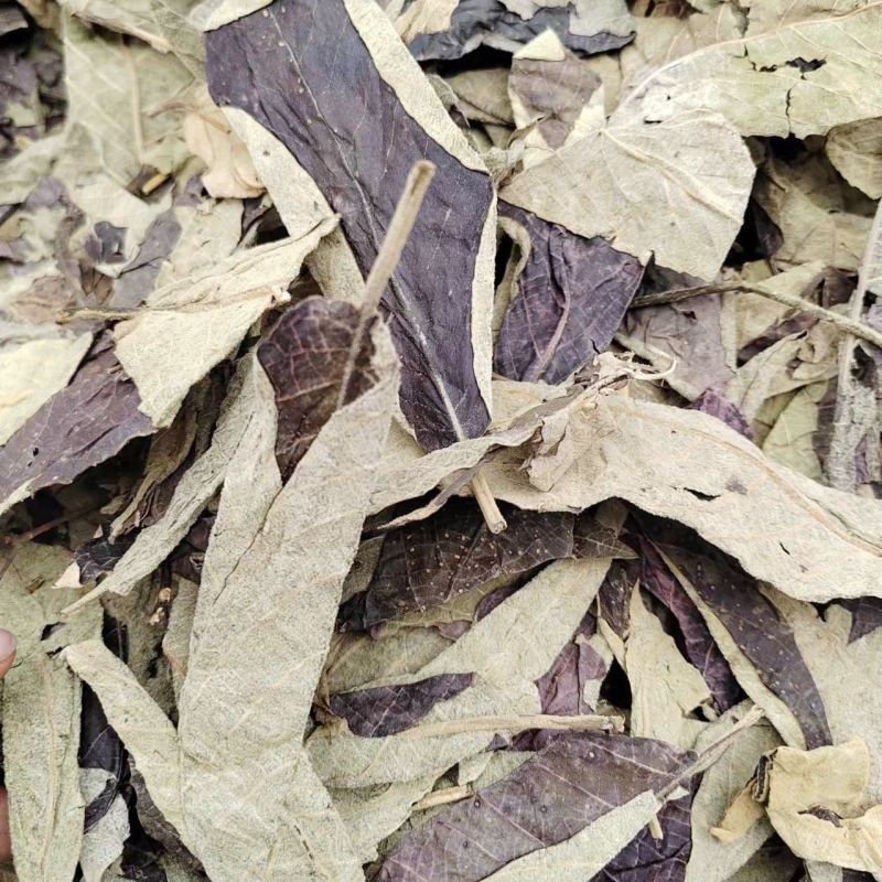 紫珠叶中药材正宗紫珠叶冷背中药材大全批发零售