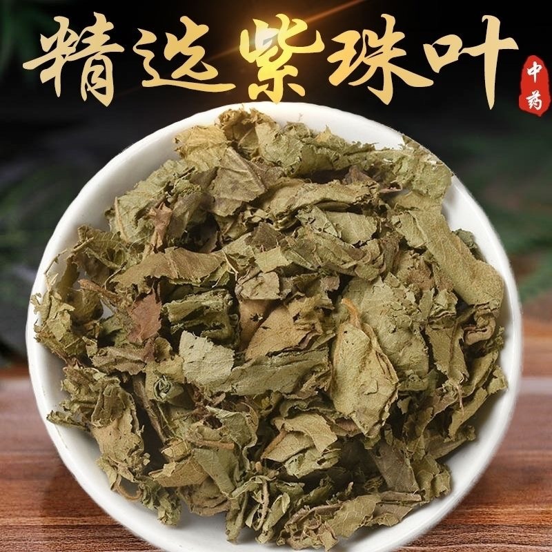 紫珠叶中药材正宗紫珠叶冷背中药材大全批发零售