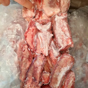 鞭根肉