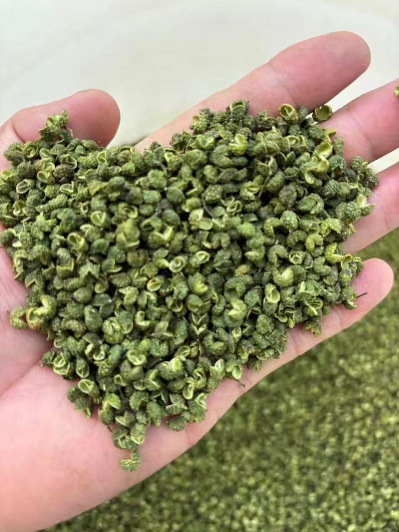 金阳青花椒