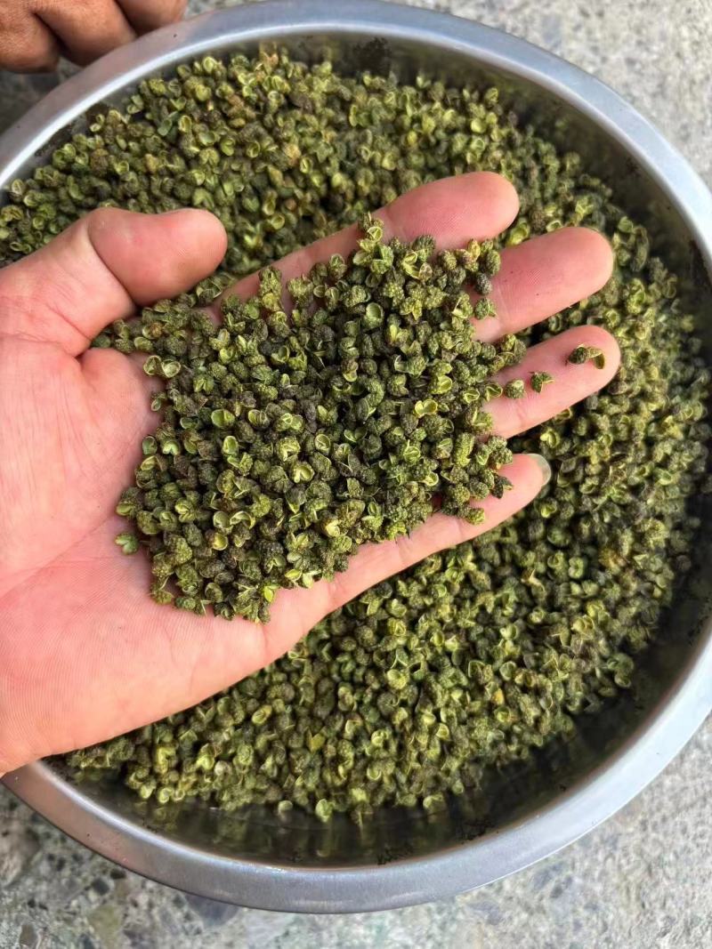 金阳青花椒