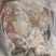 20t牛肺包牛肚处理