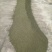 吴茱萸药籽供应