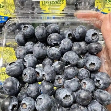 【只卖精品】大颗蓝莓鲜果新鲜水果当季大蓝莓怡颗孕妇整箱包