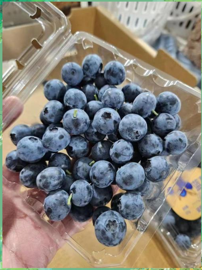 【只卖精品】大颗蓝莓鲜果新鲜水果当季大蓝莓怡颗孕妇整箱包