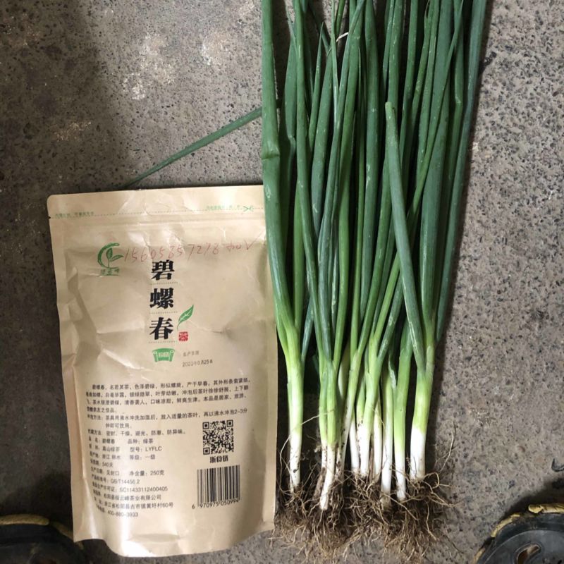 四季小葱