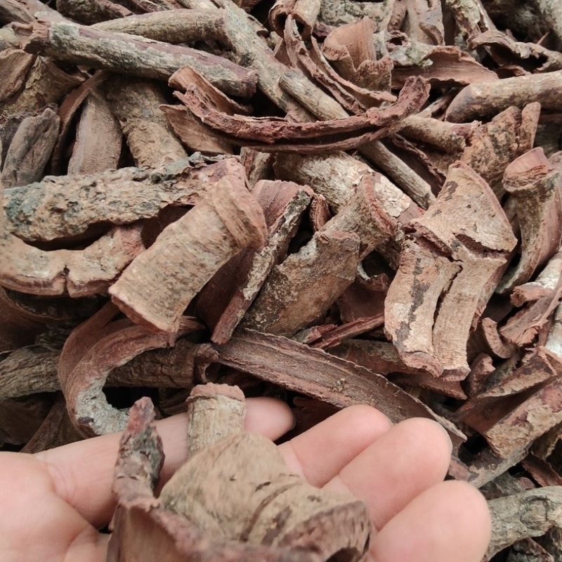 紫荆皮中药材货真价实正宗冷背中药材大全批发零售