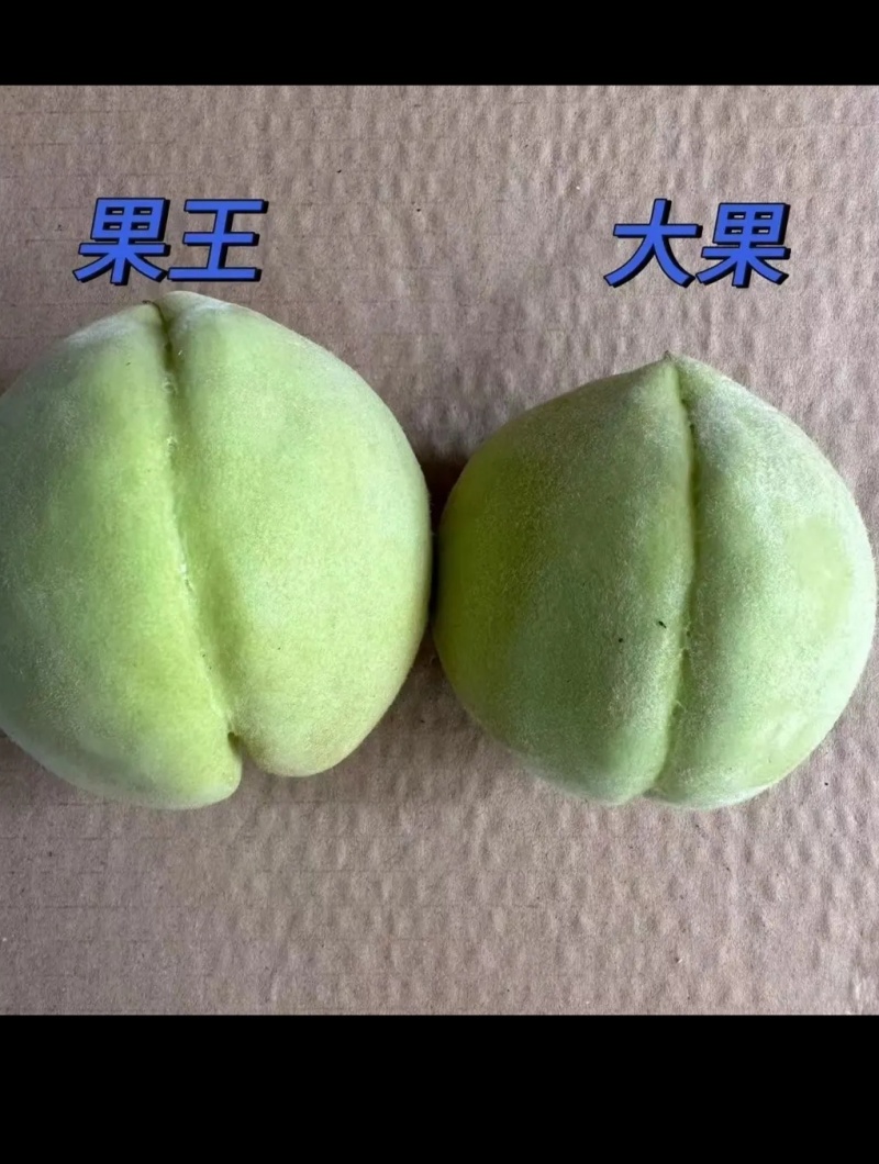 大青桃