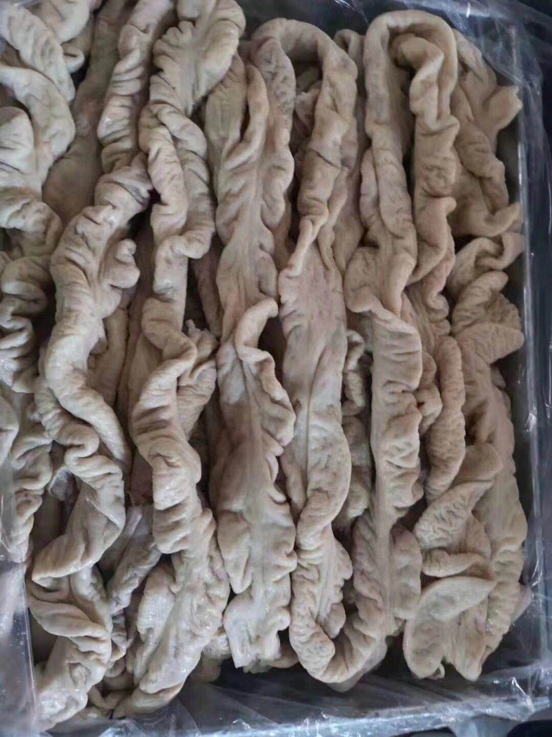 鑫业大肠猪大肠厂家直供源头工厂品质保证量大从优