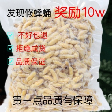 新鲜蜂蛹