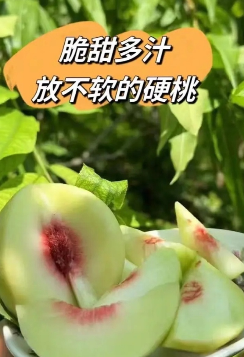 大青桃