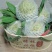 潮汕樟林番荔枝