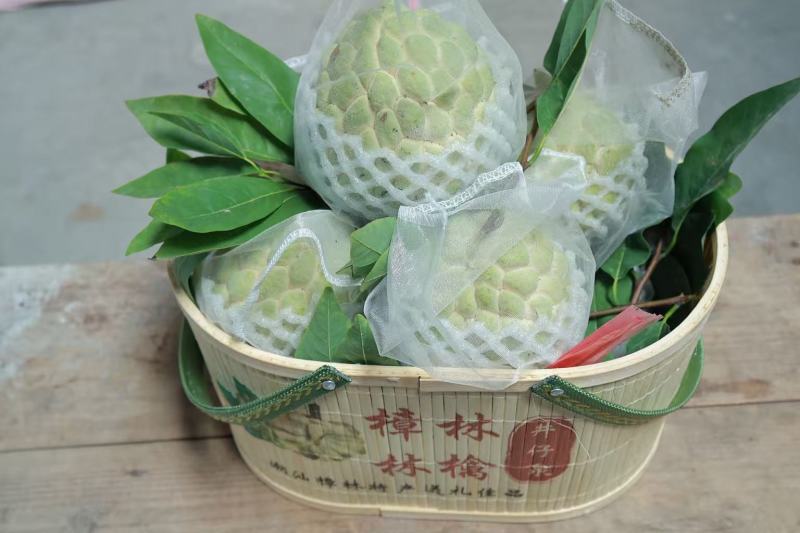 潮汕樟林番荔枝
