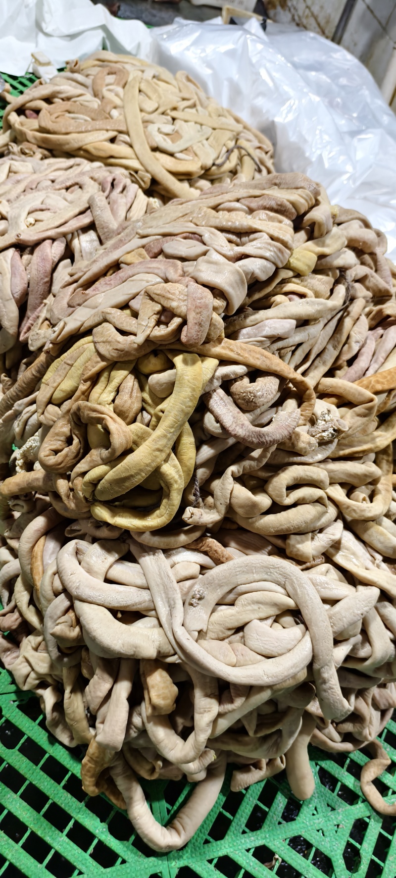 牛小肠（圆肠）