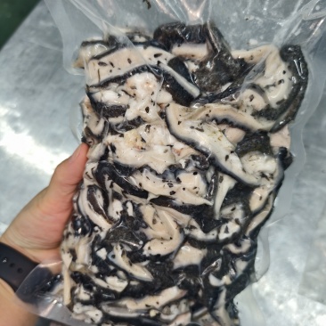 黑肚丝（牛）