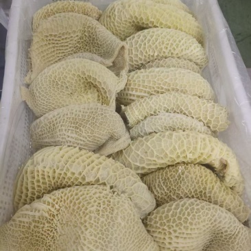 八分金钱肚
