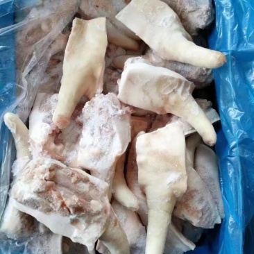 带根短尾，猪的短尾带着一点儿尾骨，肉多可做餐饮特色食材