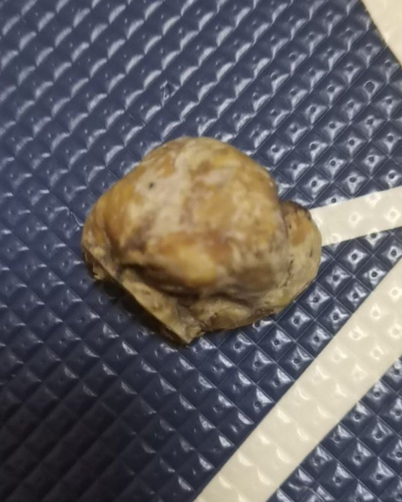 半成品牛黄
