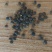 甘肃定西建设豌豆大量出货，品质优，欢迎选购