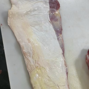 2号筋（腹腩筋）