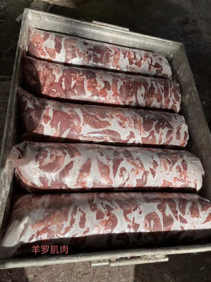 羊罗肌肉