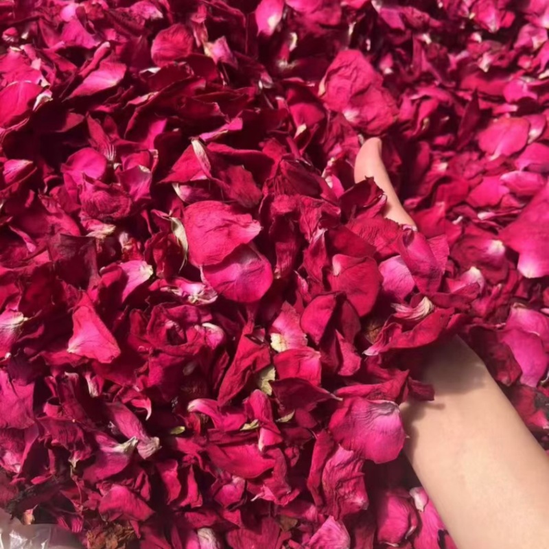 墨红玫瑰花瓣玫瑰花瓣新花大片完整各种花瓣冻干花瓣烤干花瓣