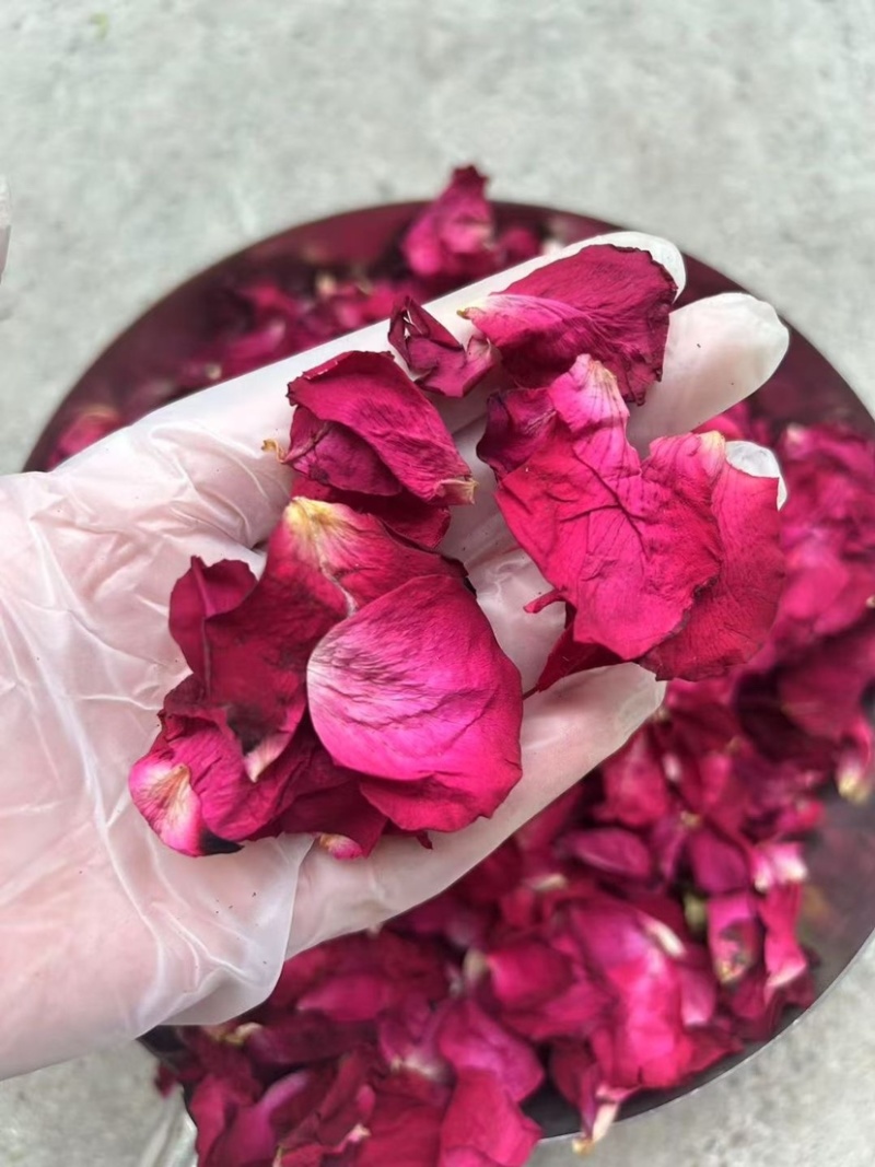 墨红玫瑰花瓣玫瑰花瓣新花大片完整各种花瓣冻干花瓣烤干花瓣