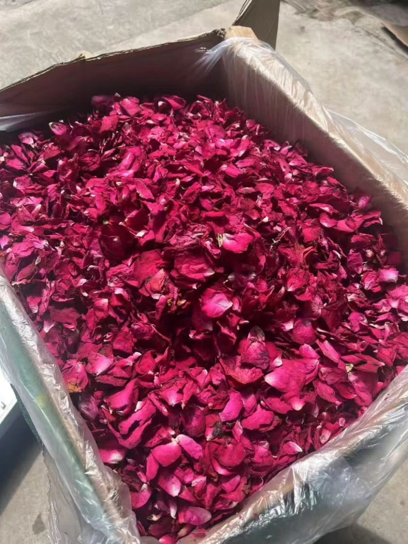 墨红玫瑰花瓣玫瑰花瓣新花大片完整各种花瓣冻干花瓣烤干花瓣