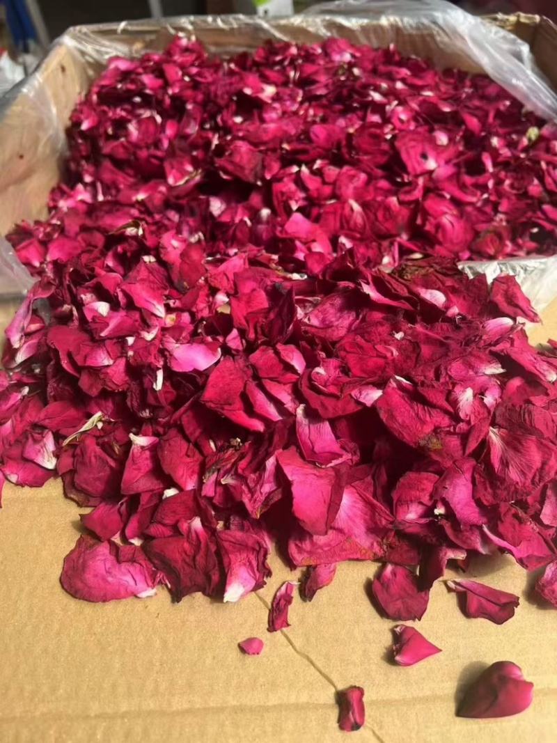 墨红玫瑰花瓣玫瑰花瓣新花大片完整各种花瓣冻干花瓣烤干花瓣