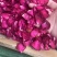 墨红玫瑰花瓣玫瑰花瓣新花大片完整各种花瓣冻干花瓣烤干花瓣