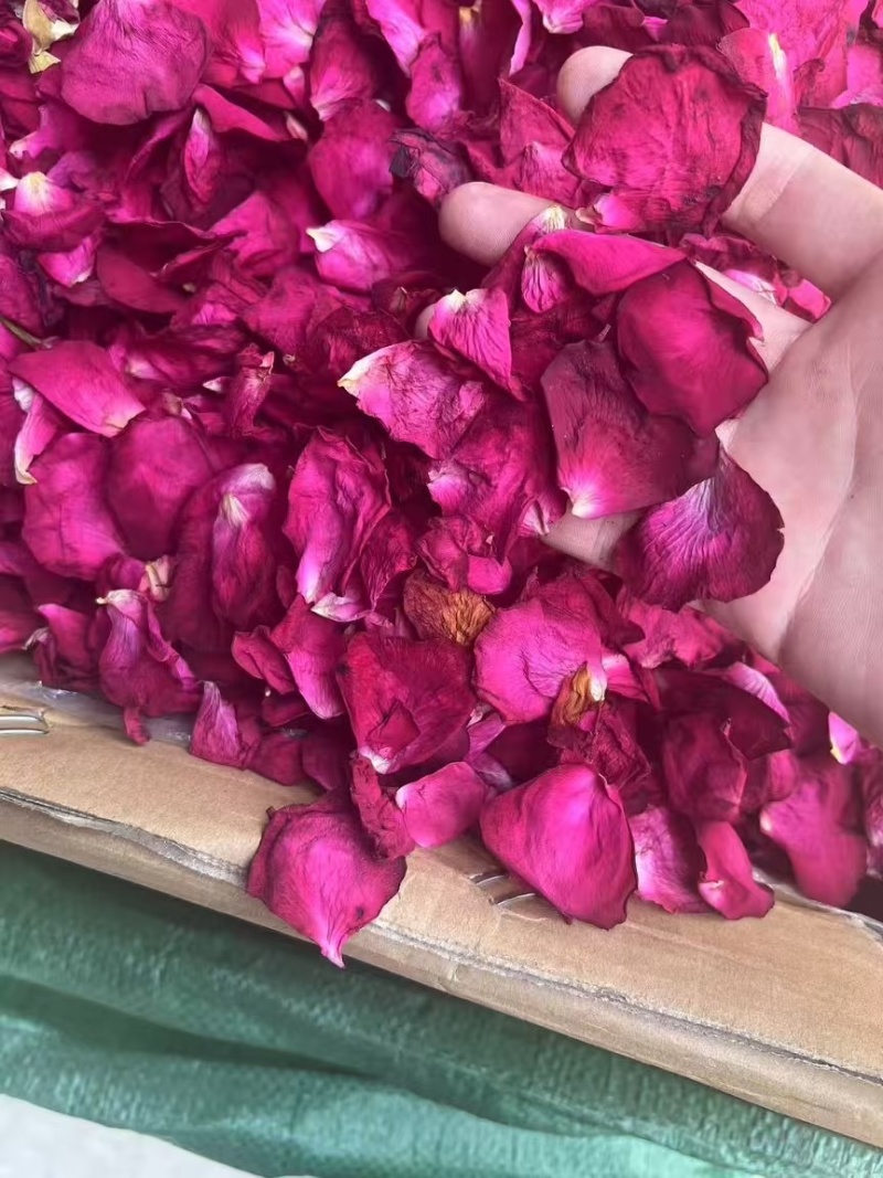 墨红玫瑰花瓣玫瑰花瓣新花大片完整各种花瓣冻干花瓣烤干花瓣
