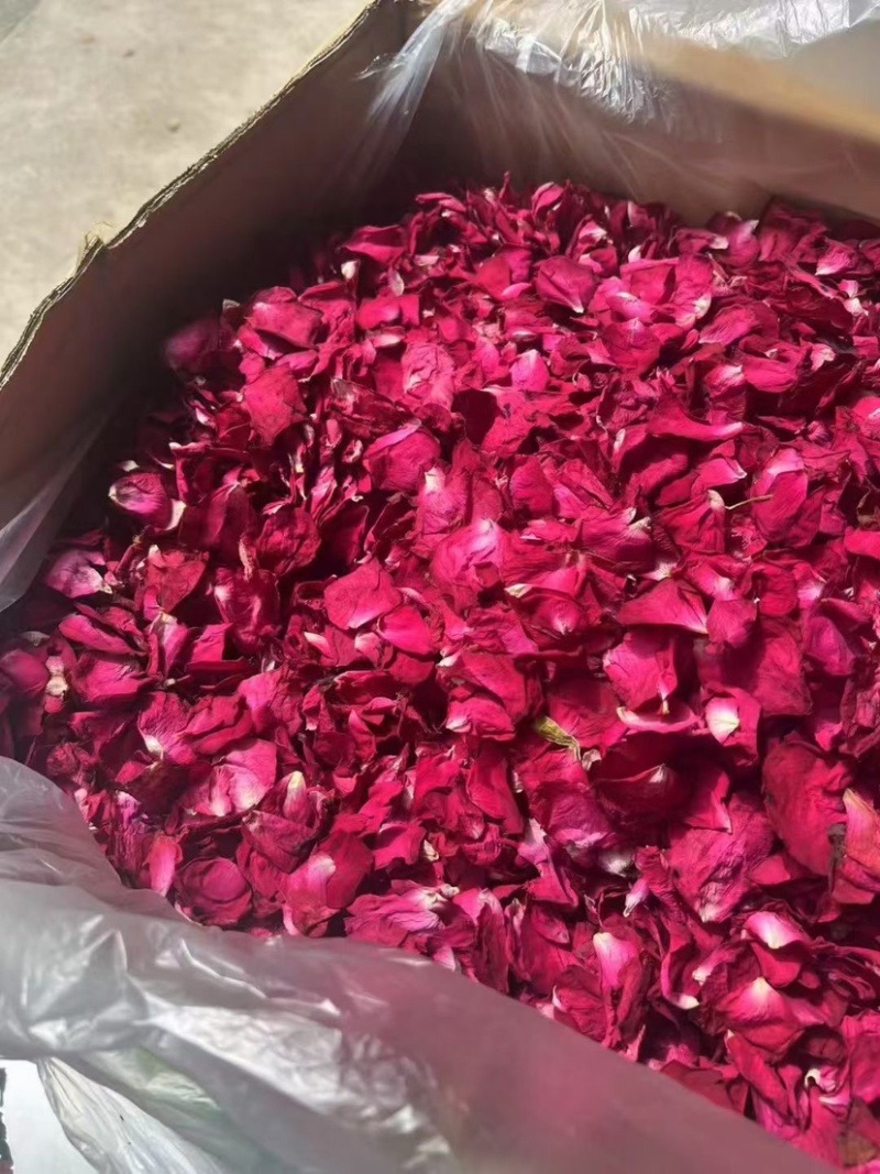 墨红玫瑰花瓣玫瑰花瓣新花大片完整各种花瓣冻干花瓣烤干花瓣