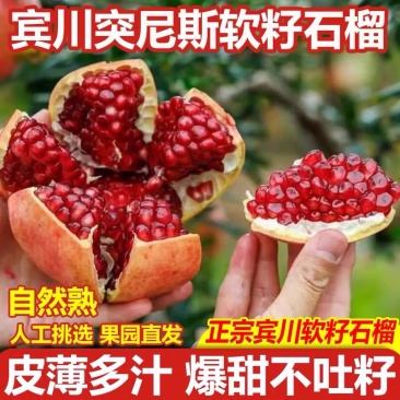 （一件代发）突尼斯软籽石榴爆甜多汁