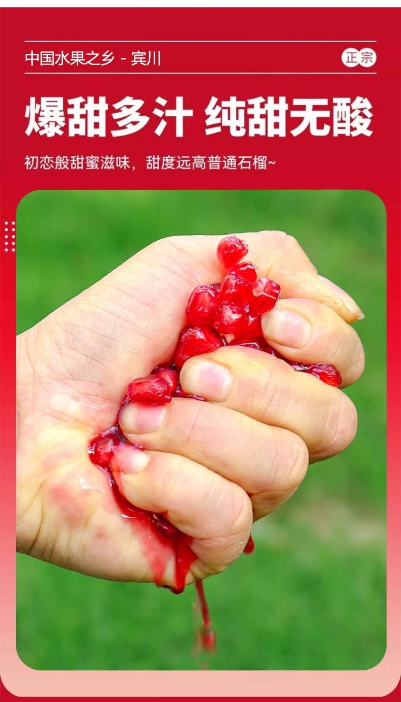 （一件代发）突尼斯软籽石榴爆甜多汁