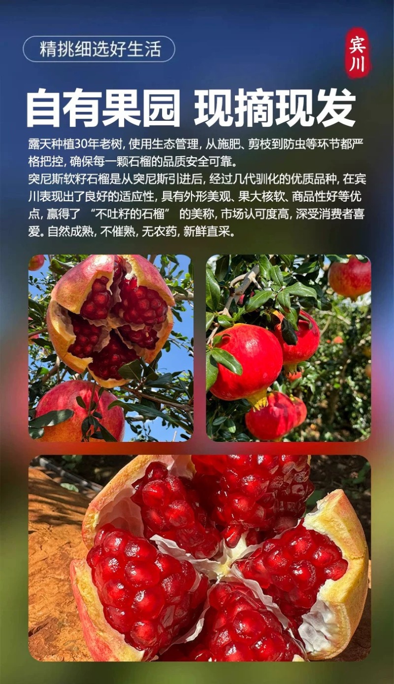 （一件代发）突尼斯软籽石榴爆甜多汁