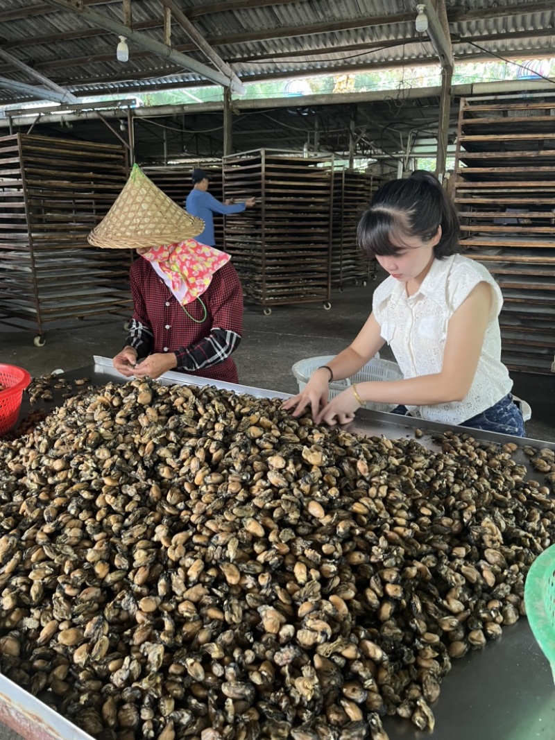 蚝干生蚝干蚝豉海蛎干牡蛎干海鲜干货原产地直发