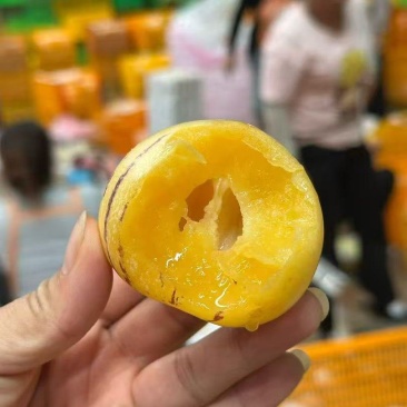 石林正季树熟人参果