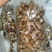 香辣牛小肠