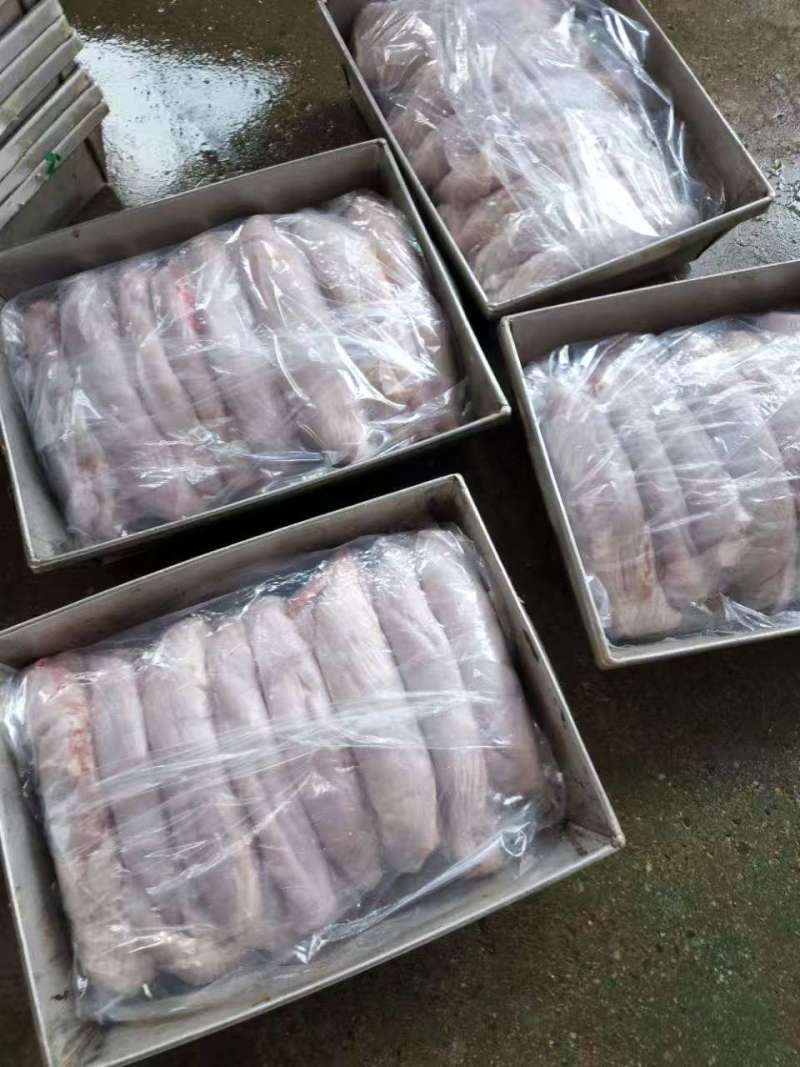 猪肚