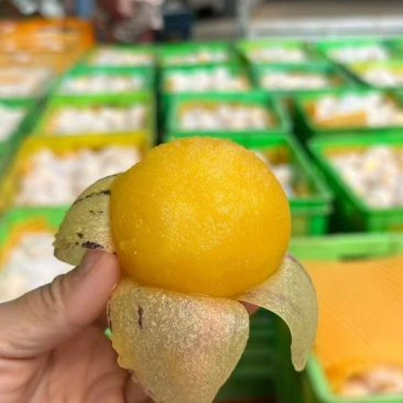 接全平台代发