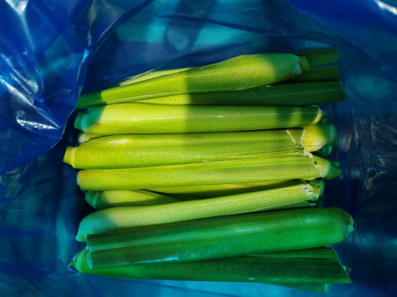 精品茭白货源充足